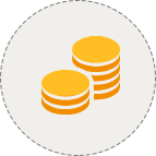 Cost of the product